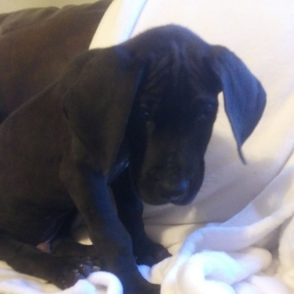 Meet your Posher, Wendy